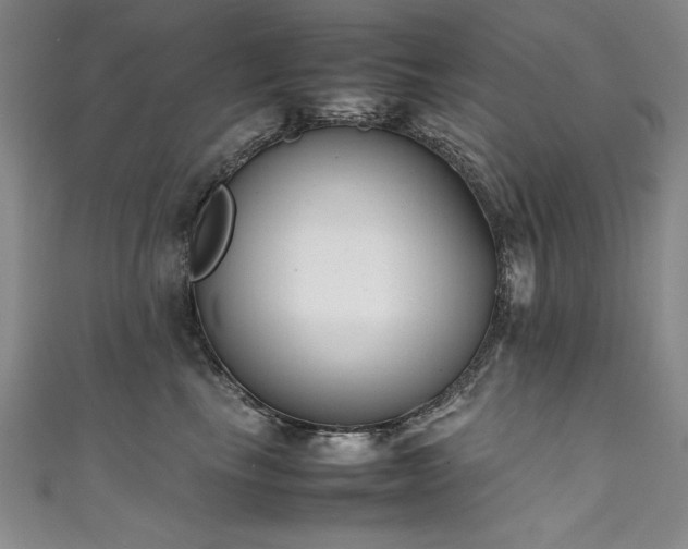 X0000111430665200907131224