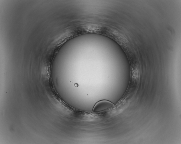 X0000111430666200907131224