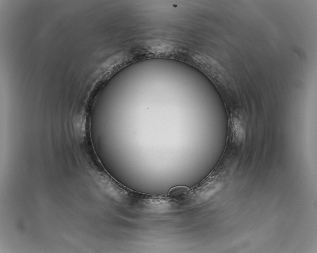 X0000111430668200907131224