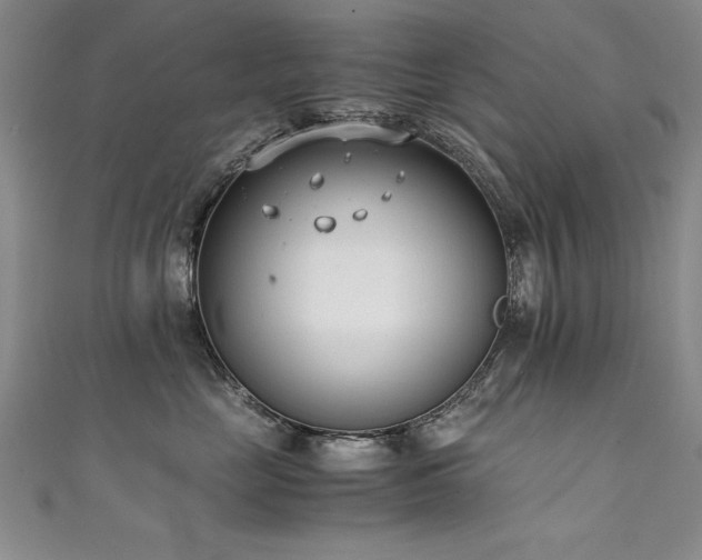 X0000111430669200907131224