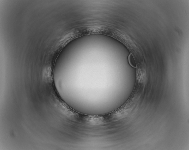 X0000111430670200907131224
