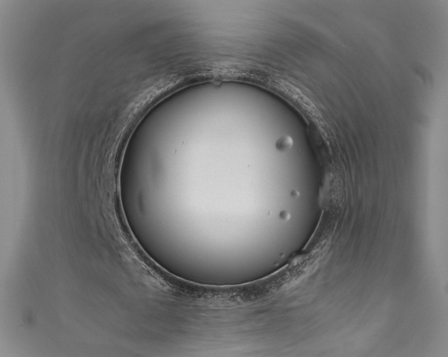X0000111430673200907131224