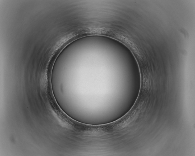 X0000111430674200907131224