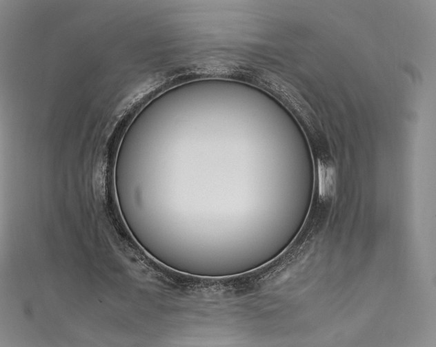 X0000111430675200907131224