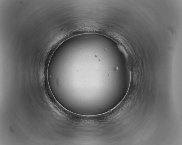 X0000111430677200907131224