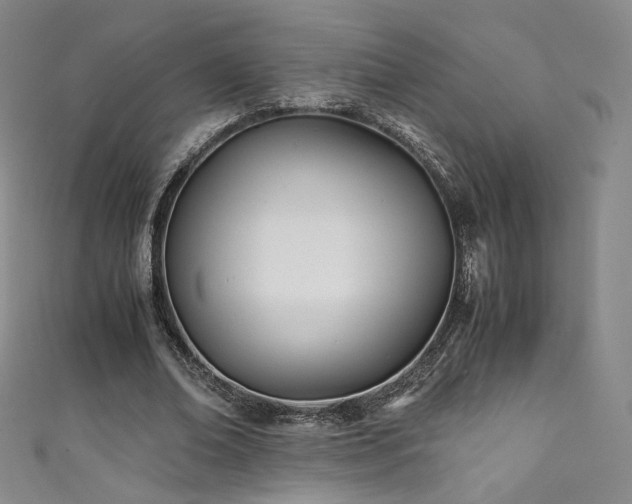 X0000111430678200907131224