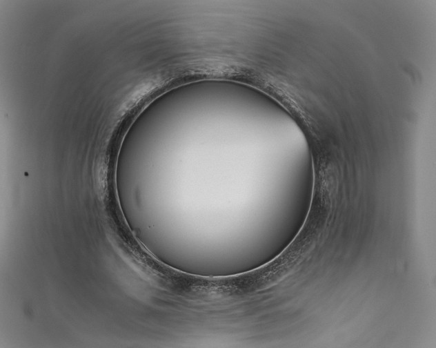 X0000111430679200907131224