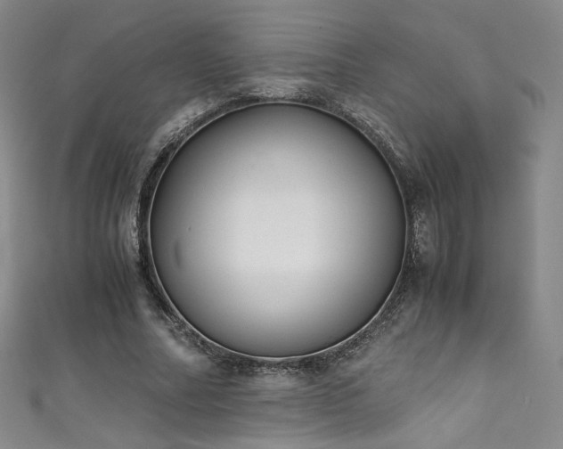 X0000111430682200907131223