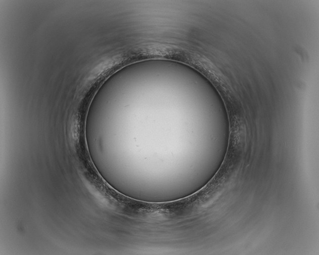 X0000111430683200907131223