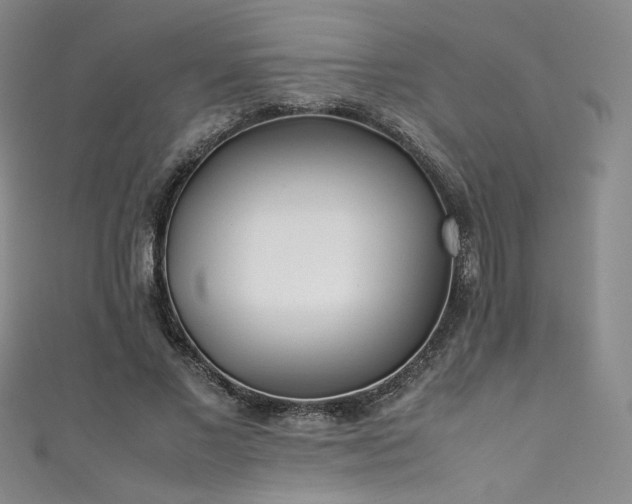 X0000111430685200907131223