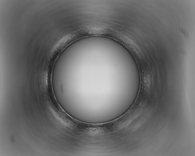 X0000111430686200907131223