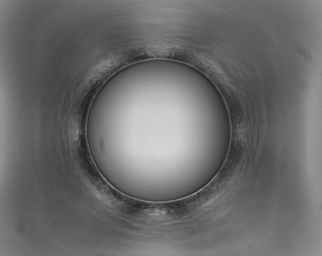 X0000111430687200907131223