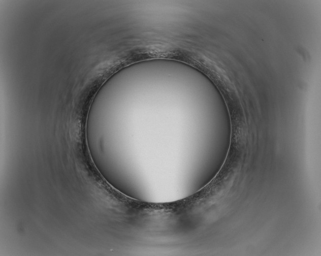 X0000111430689200907131223