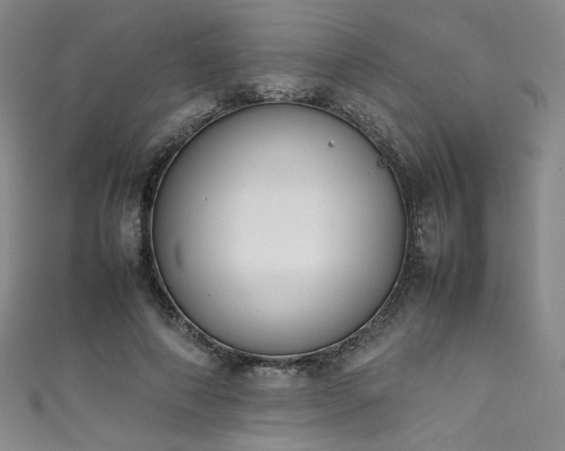 X0000111430690200907131223