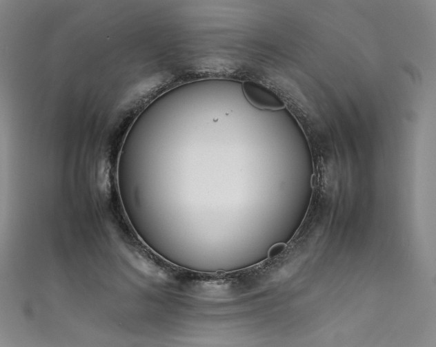 X0000111430692200907131223