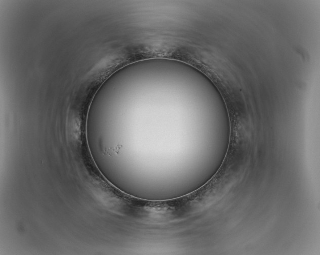 X0000111430693200907131223
