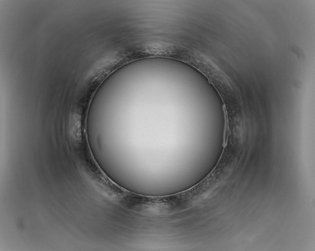 X0000111430696200907131223