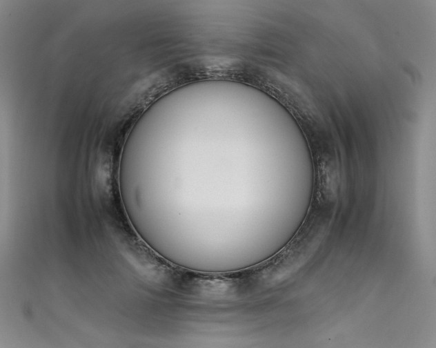 X0000111430698200907131223