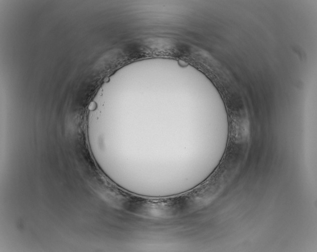 X0000111430701200907131223