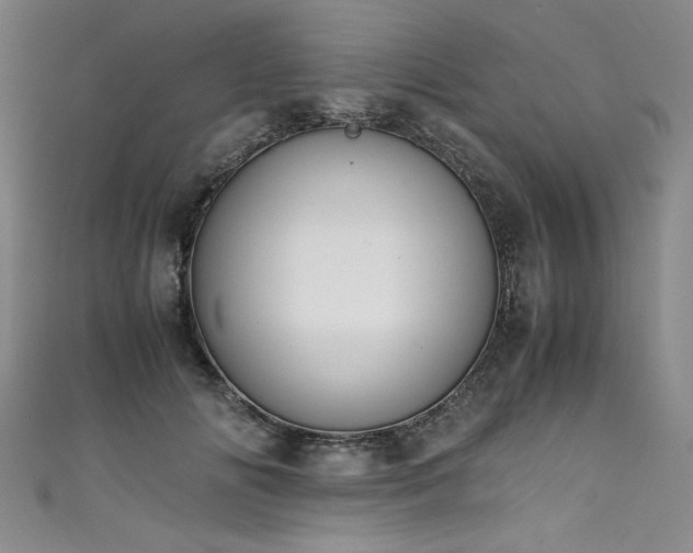 X0000111430702200907131223