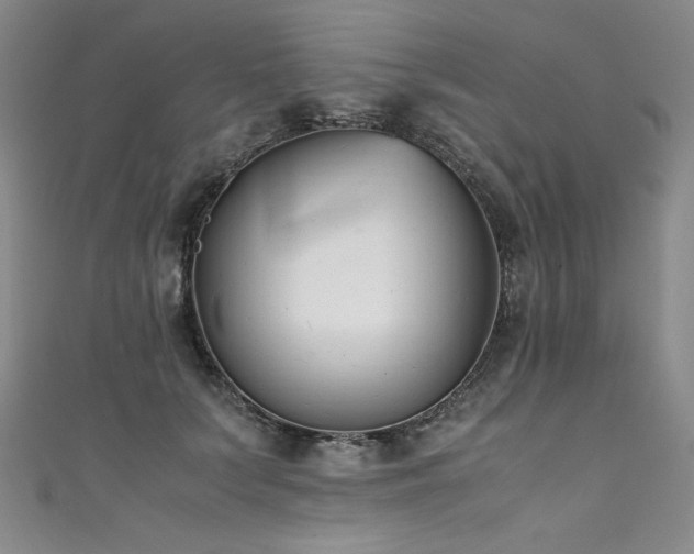 X0000111430703200907131223