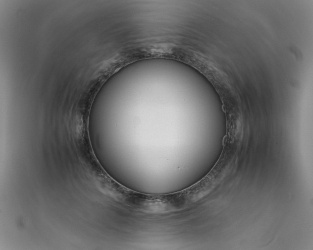 X0000111430704200907131223