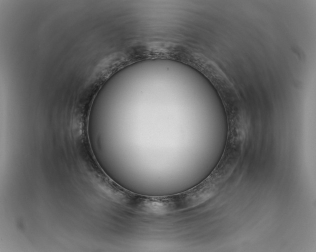 X0000111430706200907131223