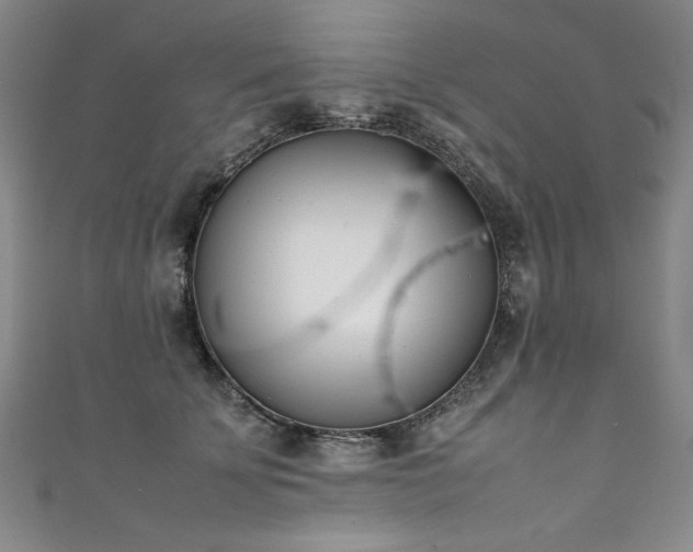 X0000111430707200907131223