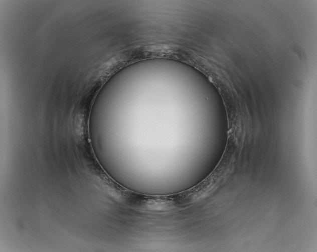 X0000111430708200907131223