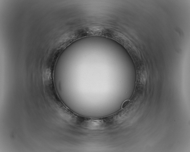 X0000111430711200907131223