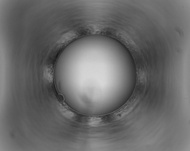 X0000111430719200907131223