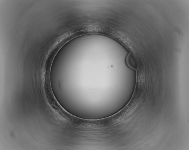 X0000111430722200907131222