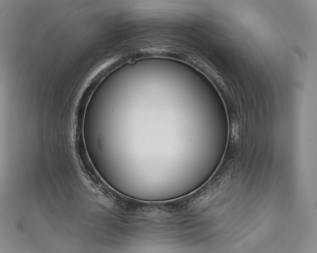 X0000111430724200907131222
