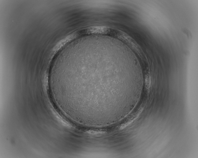 X0000111430725200907131222