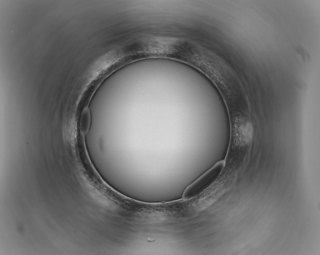 X0000111430726200907131222