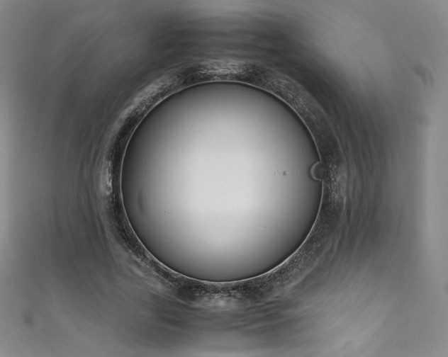 X0000111430731200907131223