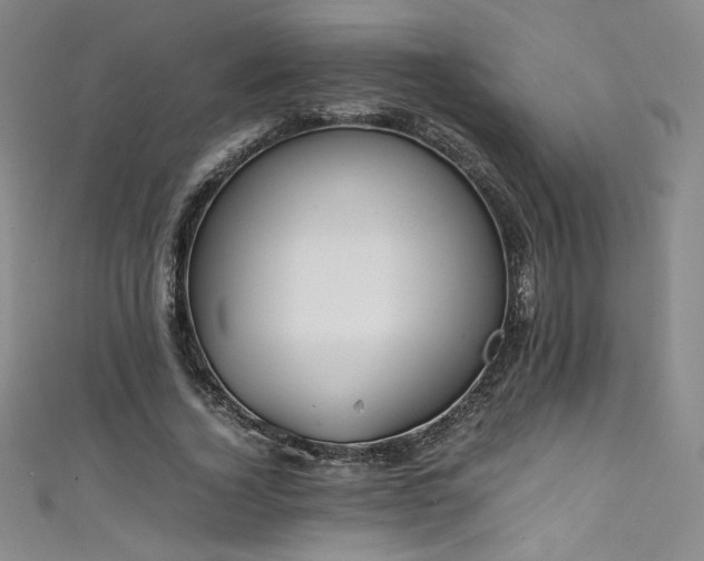 X0000111430732200907131223