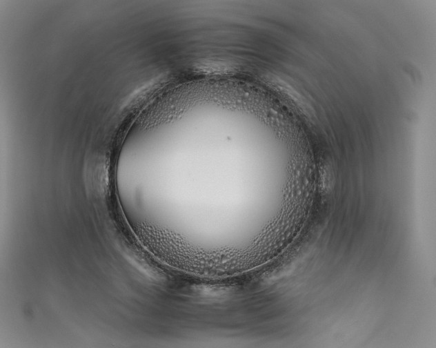 X0000111430733200907131223
