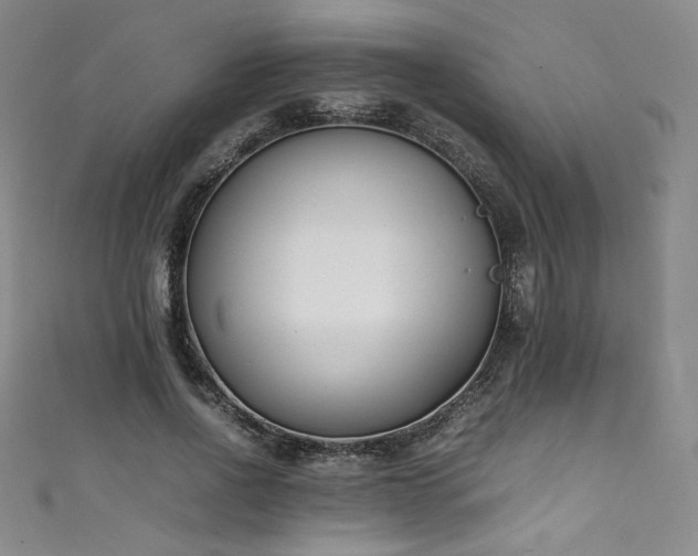 X0000111430734200907131223