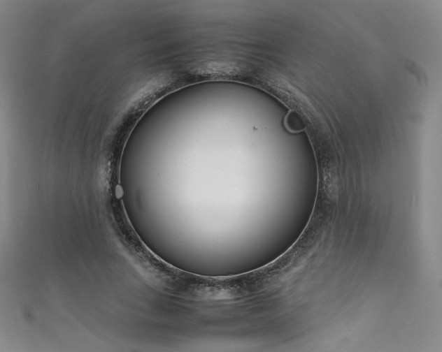X0000111430735200907131223