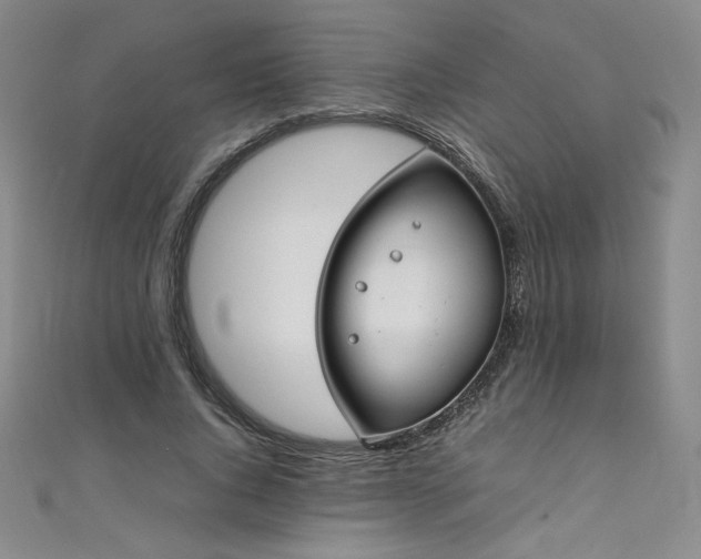 X0000111430736200907131223