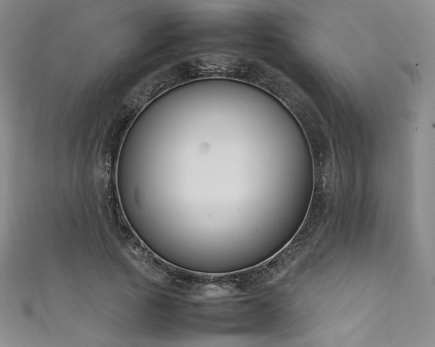 X0000111430737200907131223