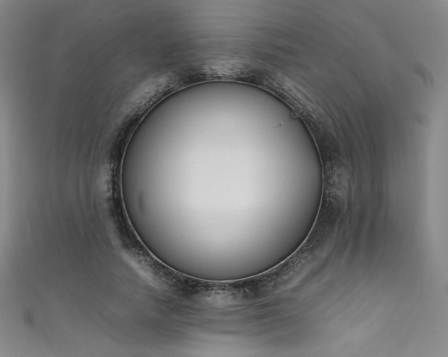 X0000111430738200907131223