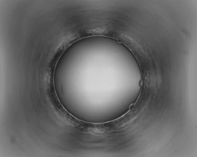 X0000111430739200907131223