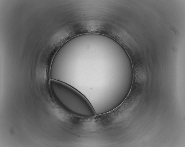 X0000111430740200907131223