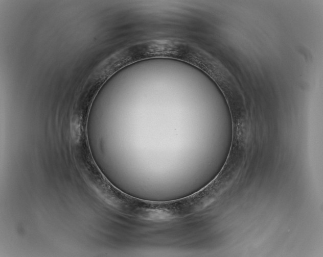X0000111430741200907131223