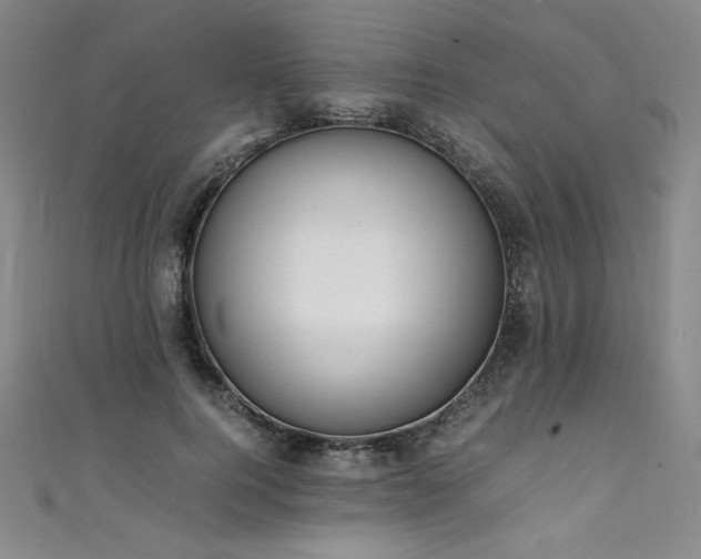 X0000111430744200907131223