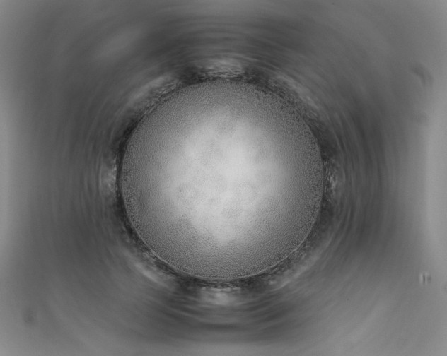 X0000111430745200907131223