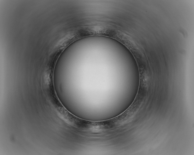 X0000111430746200907131223