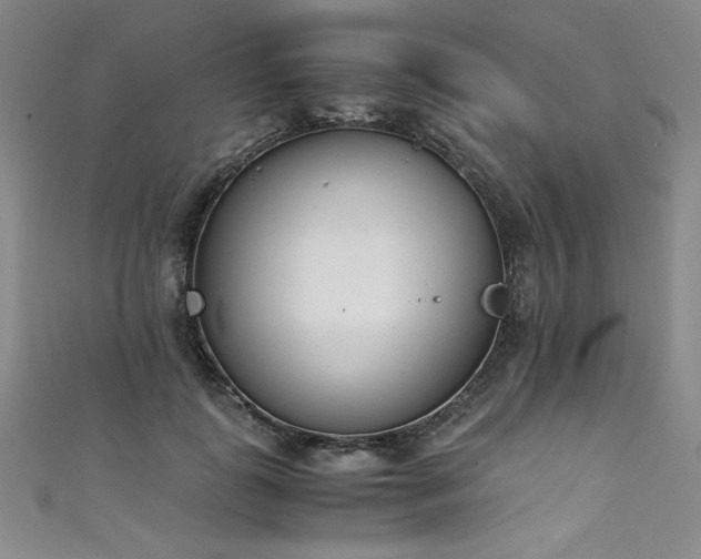 X0000111430747200907131223